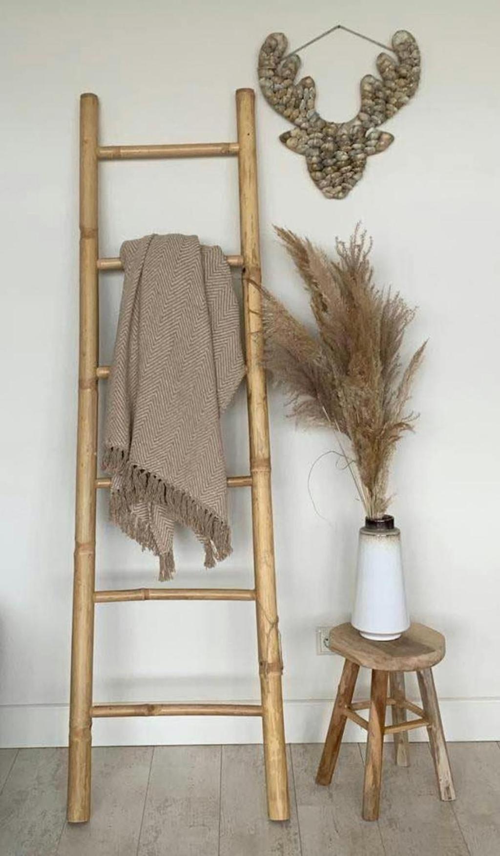 Appartement De Kokkel Free Parking Zandvoort Εξωτερικό φωτογραφία
